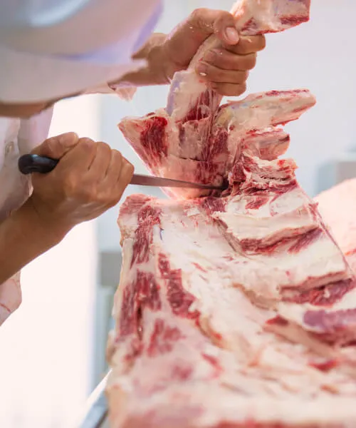 Indoguna Cambodia partnership